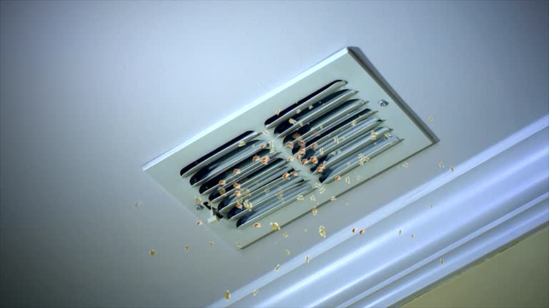 Best Home Air Vent Cleaning  in Buckingham, FL